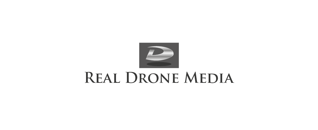 Diseño de Logo por ashyne09 para Dampt Productions | Diseño #16111766