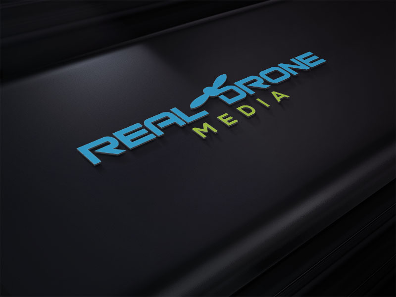 Logo Design by Sherpa design for Dampt Productions | Design #16124541