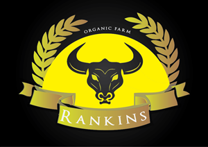 Logo Design by Ryan Orlowski