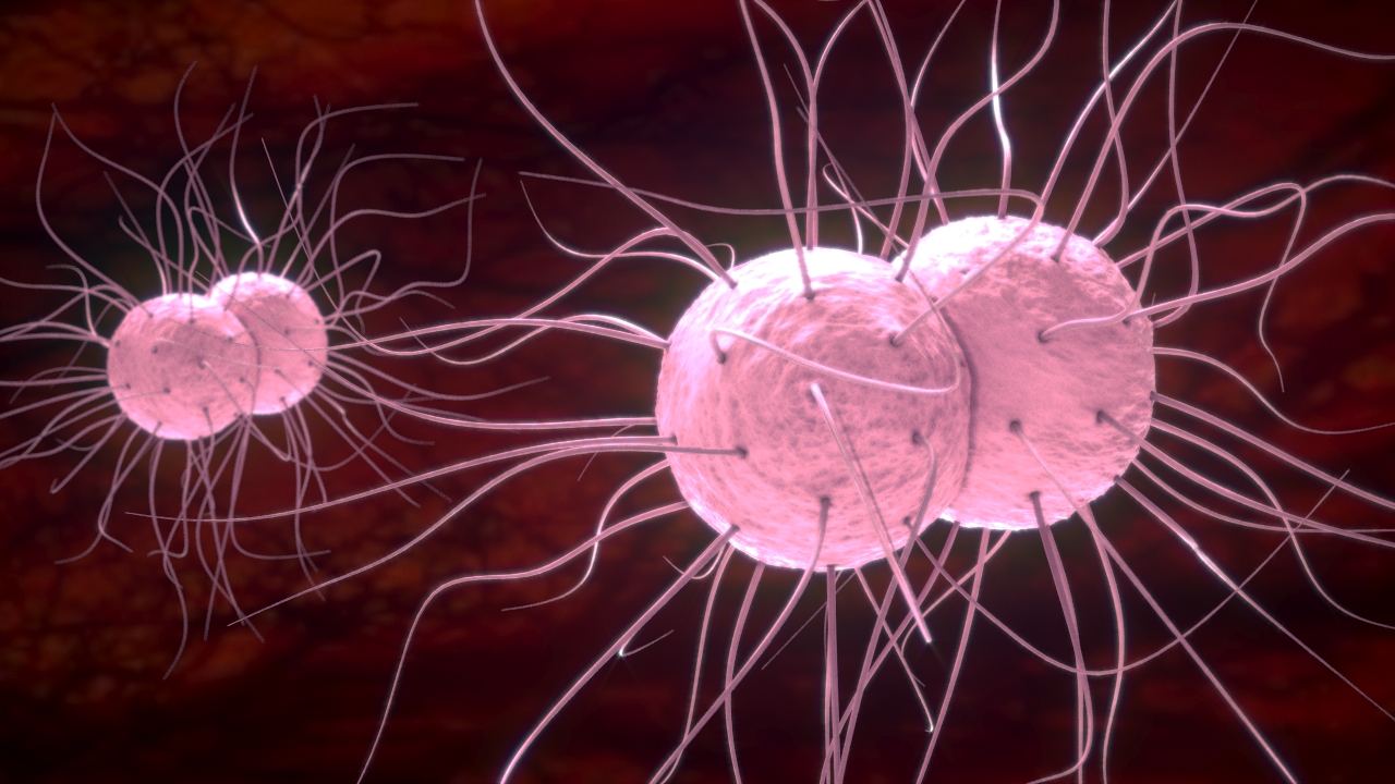 Illustration Design by Freddy Jackson for InovaGen Ltd | Design #16139952