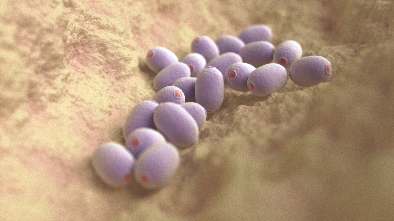 Illustration Design by Freddy Jackson for InovaGen Ltd | Design #16164318