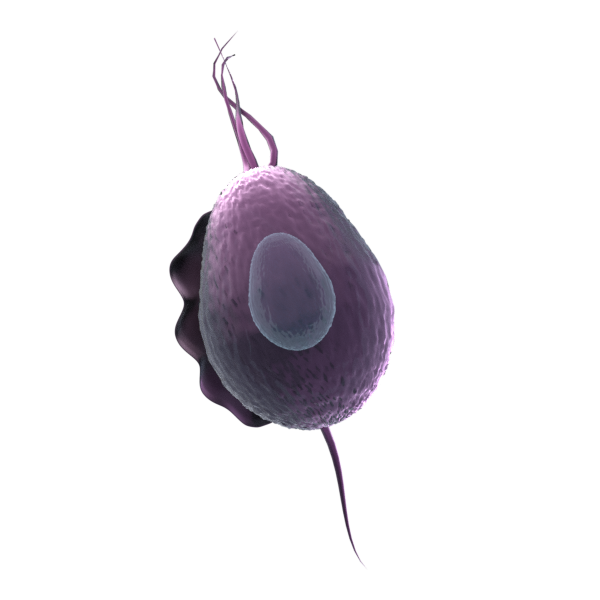 Illustration Design by Kwasi for InovaGen Ltd | Design #16150988