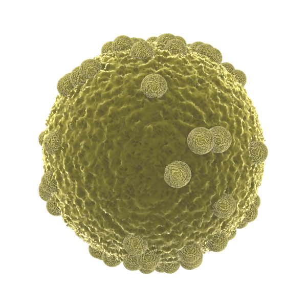 Illustration Design by Kwasi for InovaGen Ltd | Design #16151735