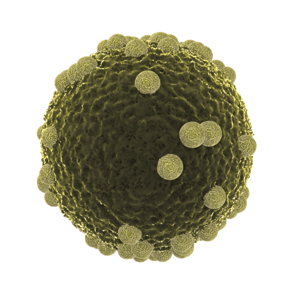 Illustration Design by Kwasi for InovaGen Ltd | Design #16160219