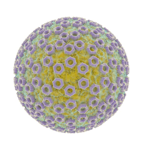 Illustration Design by Kwasi for InovaGen Ltd | Design #16161549