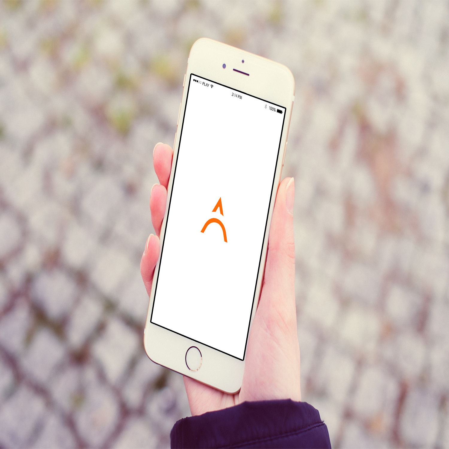 Logo-Design von DesignMe Graphics für dieses Projekt | Design #16096852