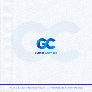 Logo Design by Adnan Ansari