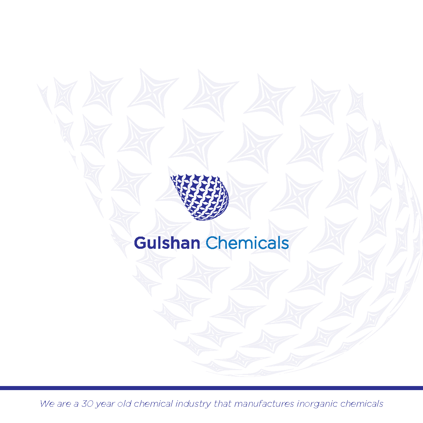 Logo Design by Adnan Ansari for this project | Design #16218529