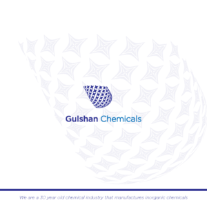 Logo Design by Adnan Ansari for this project | Design: #16218529