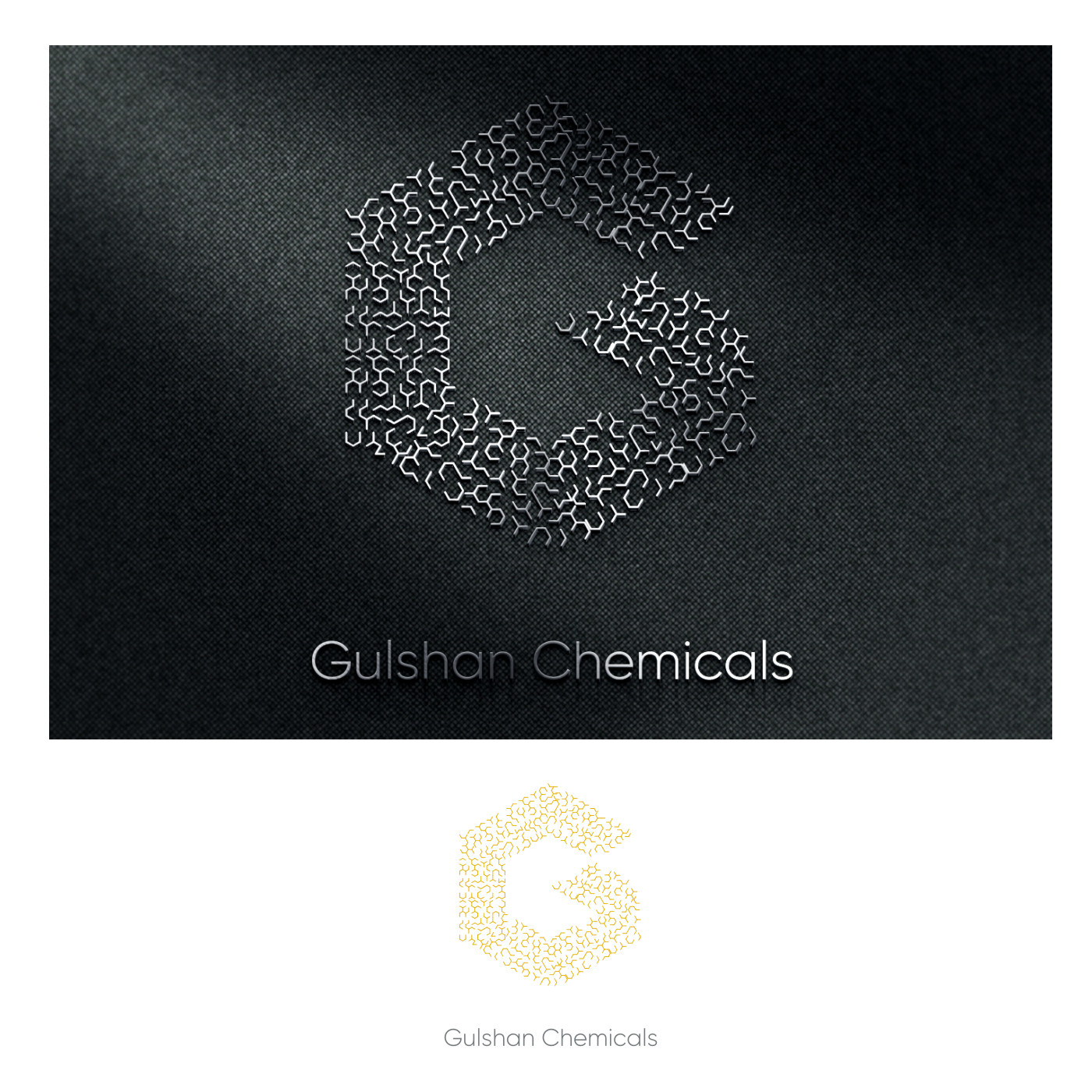 Logo Design by Lydia Tousalwa 2 for this project | Design #16249349