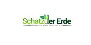 Logo Design by bvgraphic1