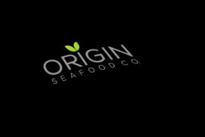 Logo Design by solidinto for this project | Design: #16211345