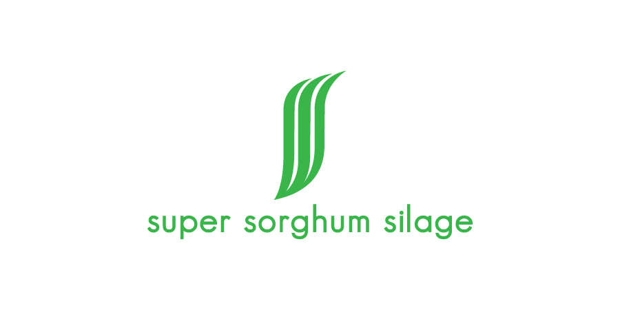 Logo Design by debdesign for Triple S Australia Pty Limited | Design #16094717