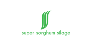 Logo Design by debdesign for Triple S Australia Pty Limited | Design: #16094717