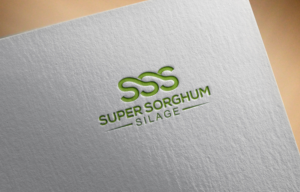 Logo Design by asman for Triple S Australia Pty Limited | Design: #16101501