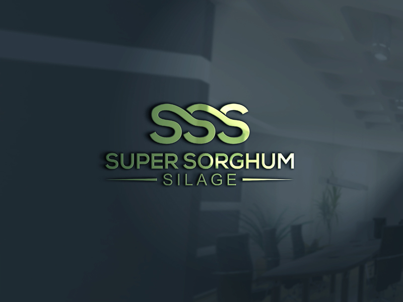 Logo Design by asman for Triple S Australia Pty Limited | Design #16101503