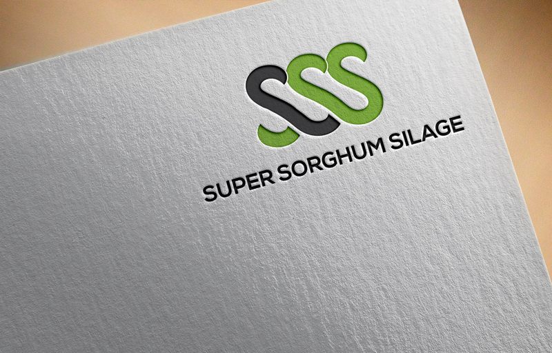 Logo Design by RHD for Triple S Australia Pty Limited | Design #16102979