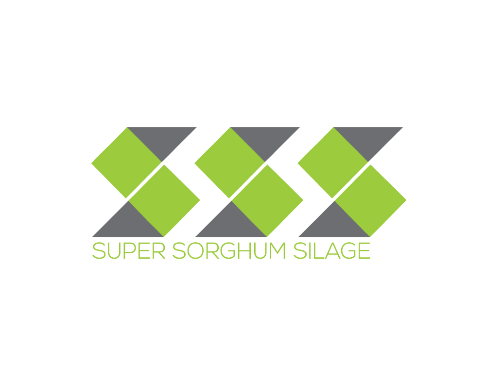 Logo Design by A S design @ for Triple S Australia Pty Limited | Design #16130387