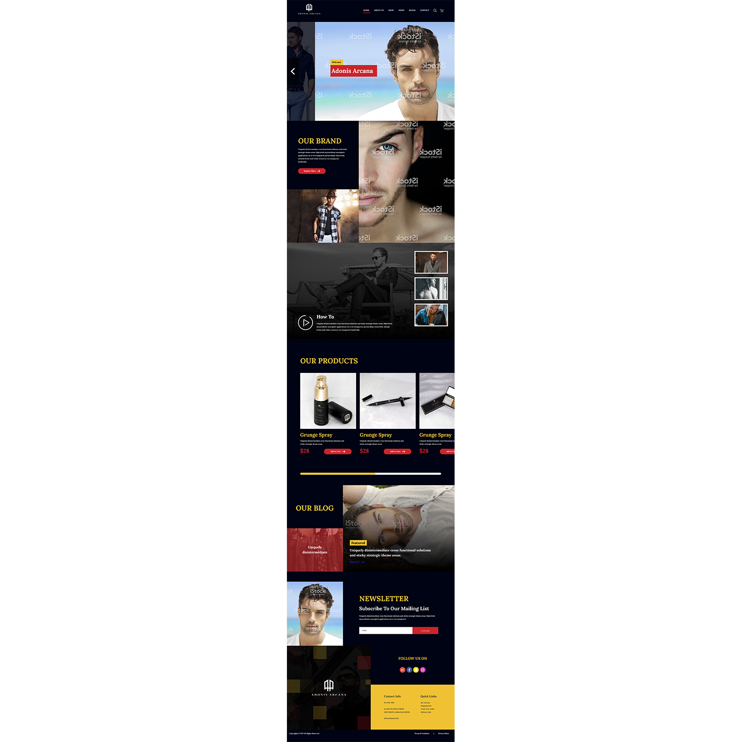 Web Design by Hassaan Shah for this project | Design #19381057