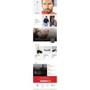 Web Design by Hassaan Shah for this project | Design: #19381058