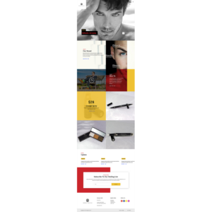 Web Design by Hassaan Shah for this project | Design: #19381059