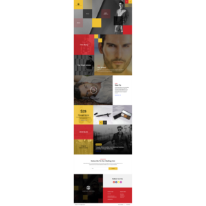 Web Design by Hassaan Shah for this project | Design: #19381060