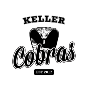 Vintage/retro Elementary school spirit wear t-shirt/sweatshirt design | T-Shirt-Design von jamesmccue1