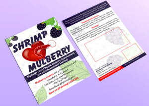 Flyer Design by Impressive Sol