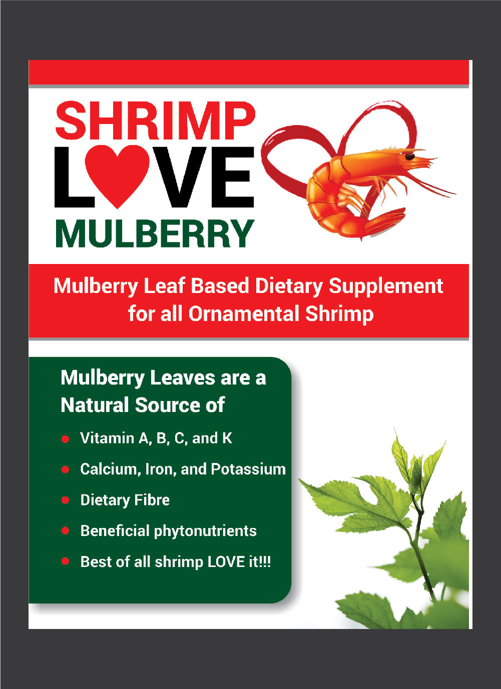 Design de Flyer par Deziners Zone pour Aussie Fauna | Design #16124707