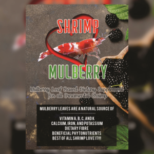 Design de Flyer par BLVCK REPUBLIC pour Aussie Fauna | Design #16175777