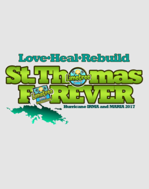 T-shirt Design by bvgraphic1 for this project | Design: #16318015