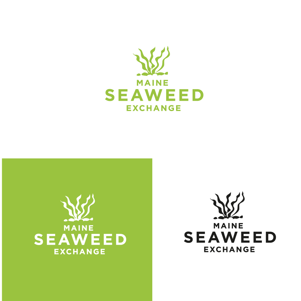Diseño de Logo por Sujit Banerjee para Springtide Seaweed, LLC | Diseño #16125613