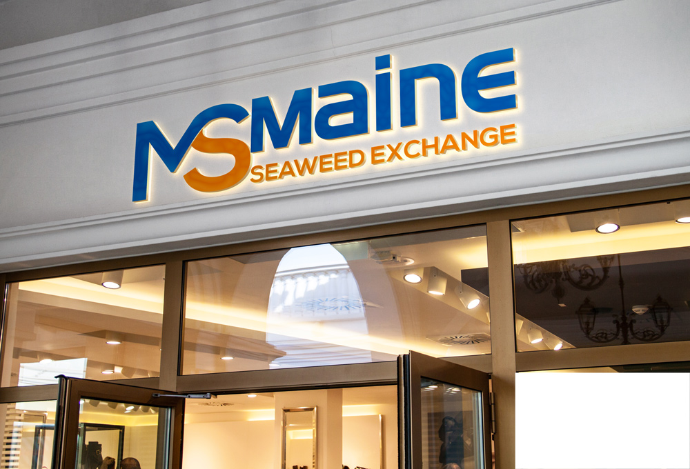 Diseño de Logo por A S design @ para Springtide Seaweed, LLC | Diseño #16147781