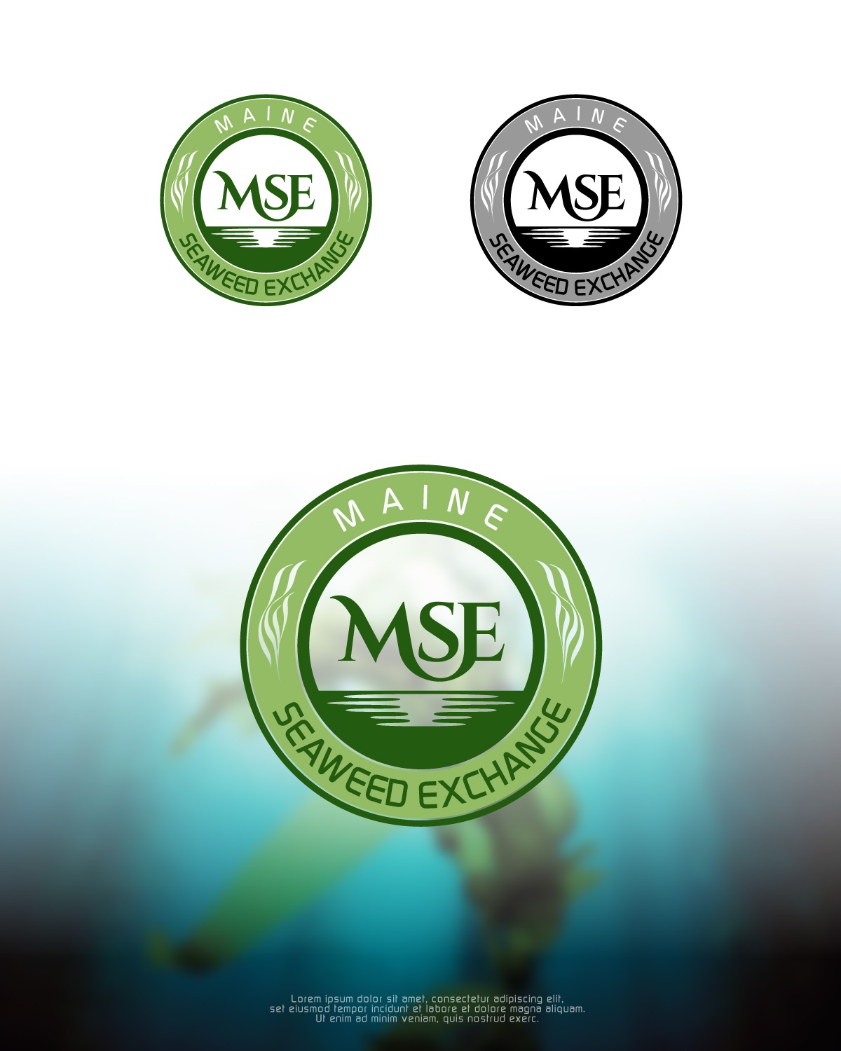 Diseño de Logo por taufik_alrahman para Springtide Seaweed, LLC | Diseño #16426211