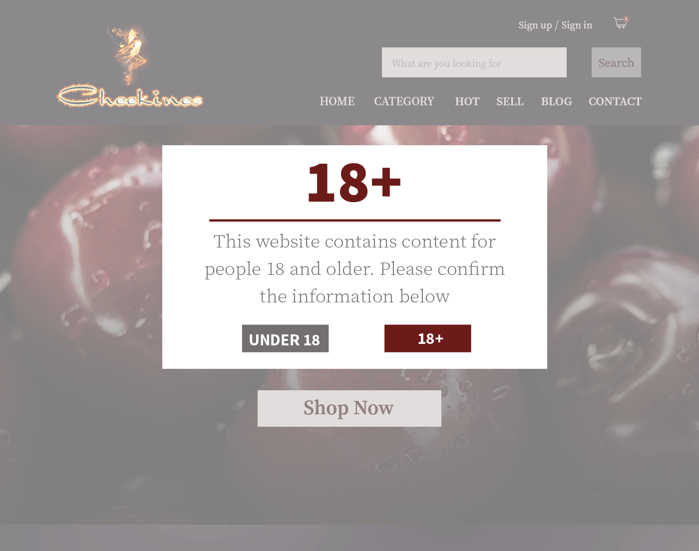 Design Shopify par Lee 6 pour ce projet | Design #16189992