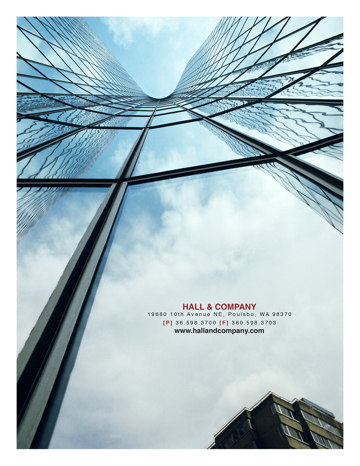 Diseño de Flyer por DesignFive para este proyecto | Diseño #16135492