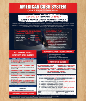 Flyer Design by ecorokerz for American Mail Profits | Design: #16156916