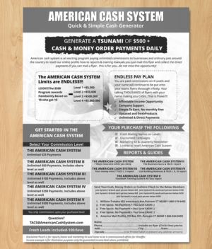 Flyer Design by ecorokerz for American Mail Profits | Design #16159843