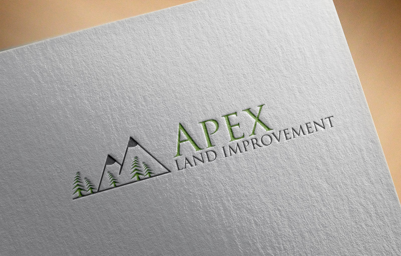 Diseño de Logo por imshohaghossain85 para este proyecto | Diseño #16158346