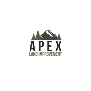 Logo Design by RGreenspan