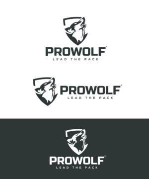 Logo Design by StudioD™ for this project | Design: #16199545