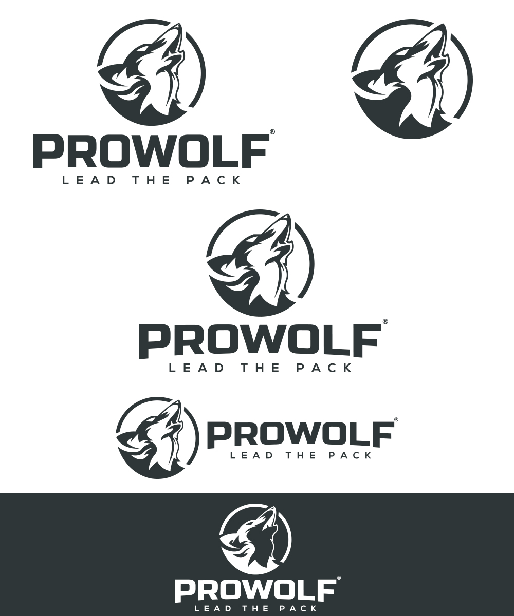 Logo Design by StudioD™ for this project | Design #16203784