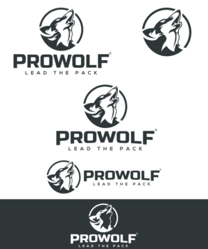 Logo Design by StudioD™ for this project | Design: #16203784