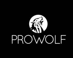 Logo Design by articuno