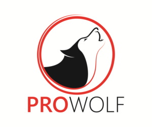 Logo Design by DreamzINSIDE for this project | Design #16198866