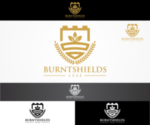 Logo Design by sangeloenriquez for Burntshields Ltd | Design #16357416