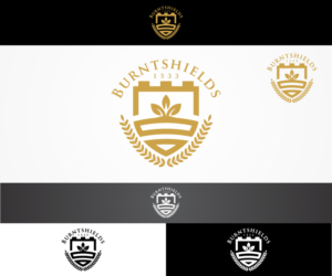 Logo-Design von sangeloenriquez für Burntshields Ltd | Design: #16366036