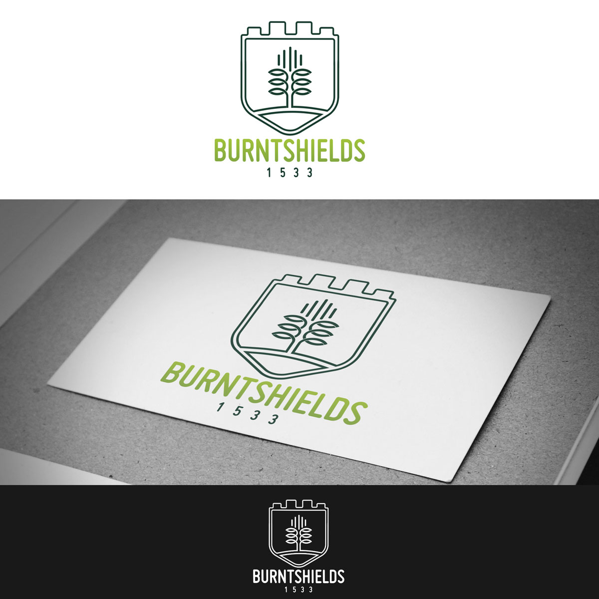 Logo Design by Th3o for Burntshields Ltd | Design #16372283