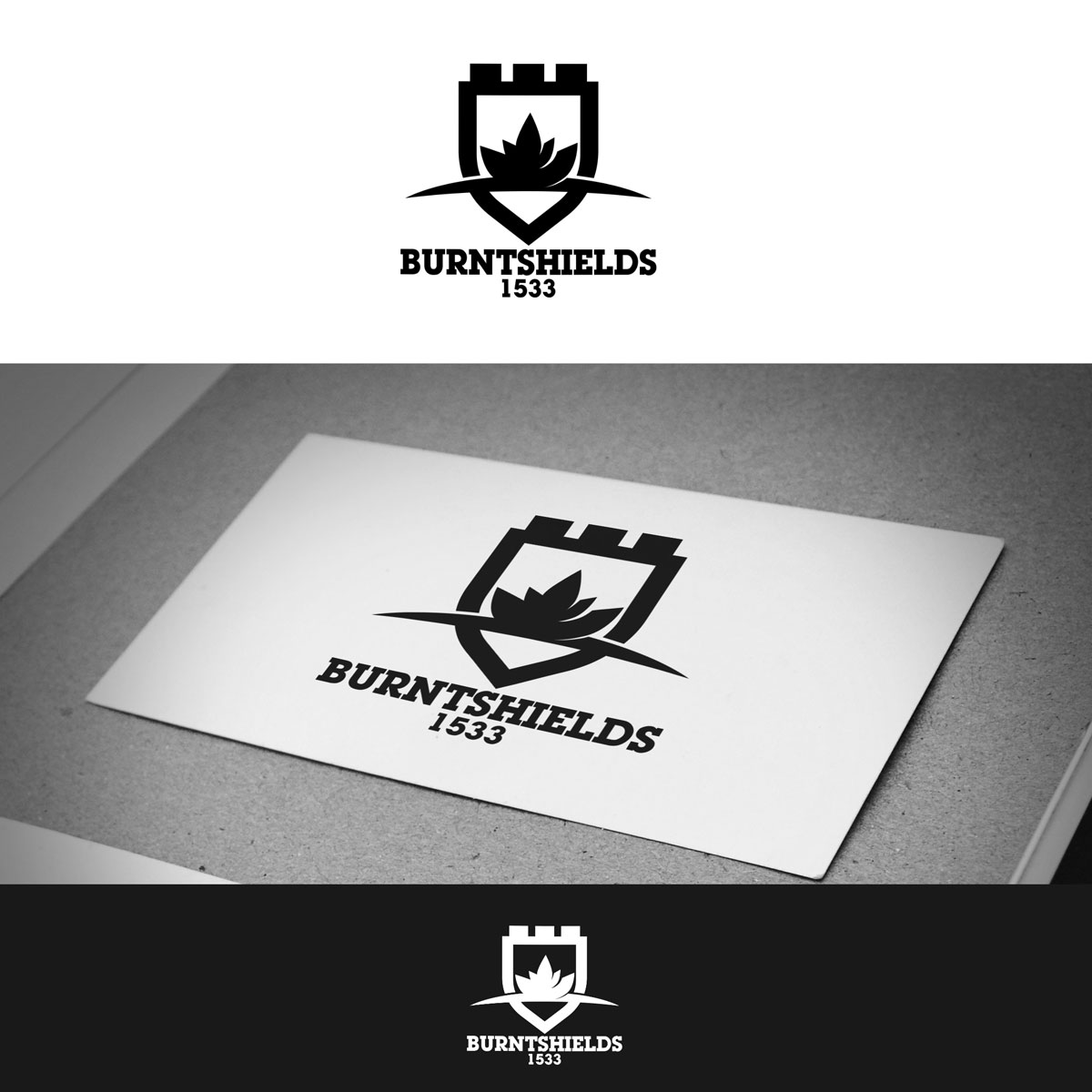 Logo Design by Th3o for Burntshields Ltd | Design #16372285