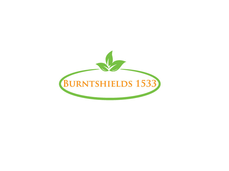 Logo Design by Oaxaqueña for Burntshields Ltd | Design #16360910
